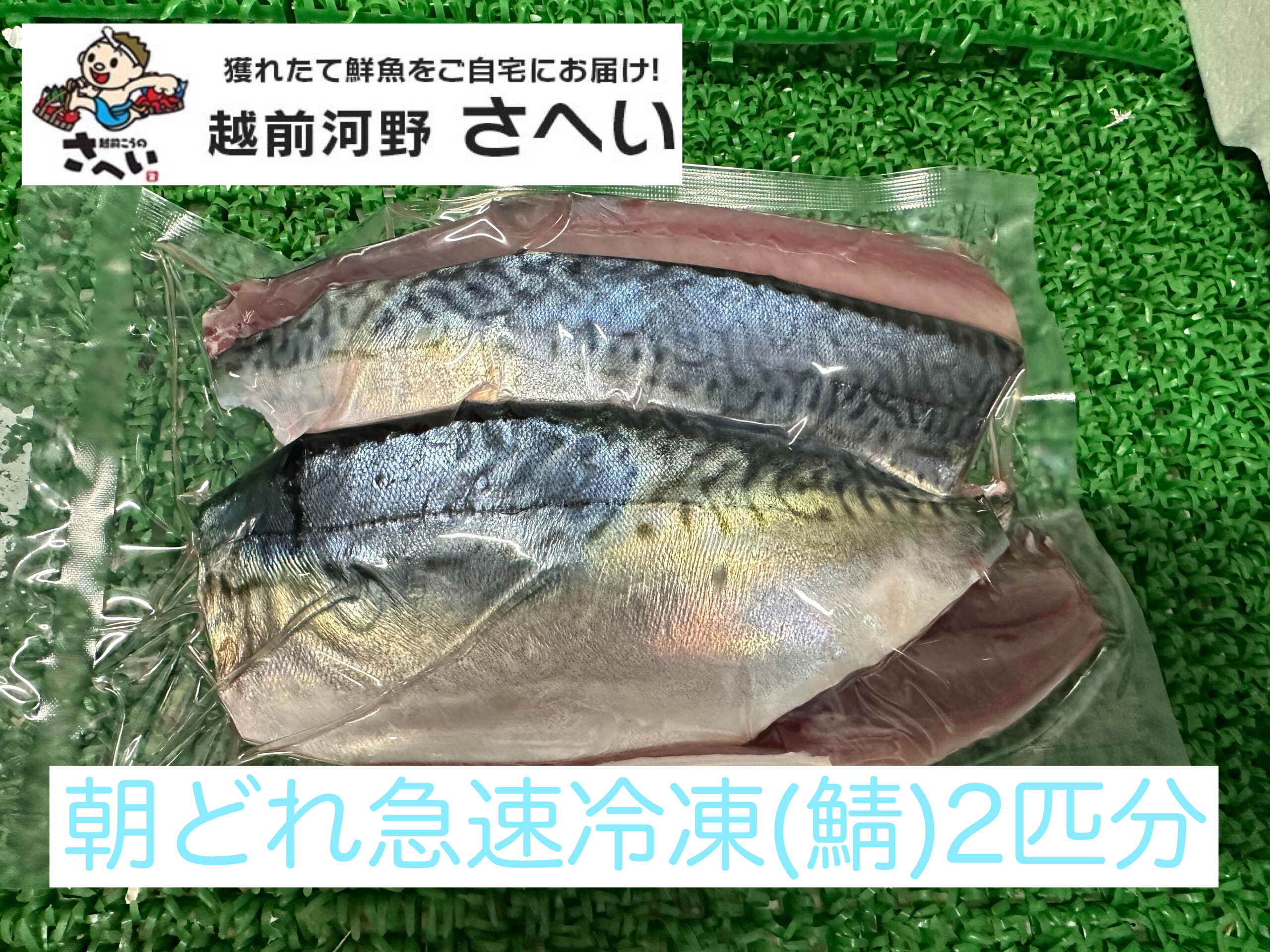 r-saba